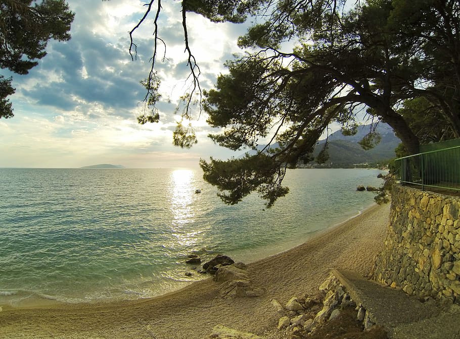 mar, arbre, platja, paviment, escales, pedres, paret, núvols, cel, verd, blau, negre, vacances, mediterrani, estiu, calor, aigua, vora de l'aigua, bellesa a la natura, terra, tranquil·litat, escenics - natura, planta, escena tranquil·la, núvol - cel, naturalesa, horitzó, horitzó sobre l’aigua, cap gent, escena no urbana, idíl·lic, sorra, a l'aire lliure, 4K