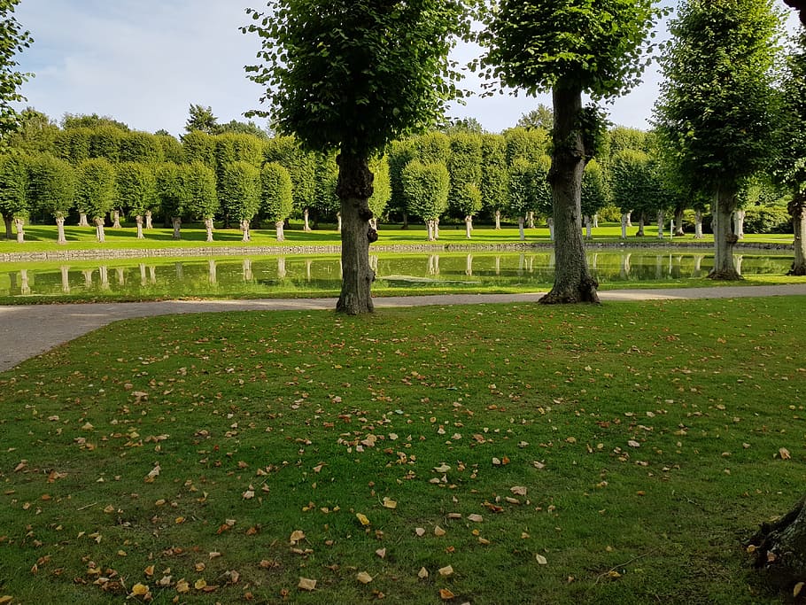 zelená, frederiksborg, hillerød, rostlina, strom, tráva, zelená barva, růst, park, krása v přírodě, Příroda, klid, klidné scény, park - člověk dělal prostor, nikdo, den, zahrada, scenics - příroda, nebe, pole, venku, přistát, pěšina, živý plot, treelined, 4K