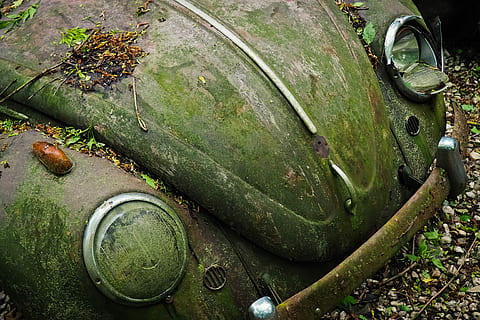 auto, auto hřbitov, oldtimer, starý, rez, nerezový karre, nerez, zrezivělý, nostalgie, vrak, šrot, vrak auta, šrotu, vyřazeny, Dějiny, Paměť, přes, vypnutý, rozpad, zapomenout, stará auta, v důchodu, zastaralý, pkw, vw, vw beetle 1950, volkswagen, 50. let, vozidlo, ztracená místa, pforphoto, zlomený, nálada, ztracené místo, zanedbané, zelená barva, nikdo, vysoký úhel pohledu, den, jídlo a pití, rezavý, rostlina, jídlo, Příroda, opuštěný, detail, pole, Zdravé stravování, přistát, kov, kontejner, mech, venku, 4K, CC0, veřejná doména, bez autorských práv