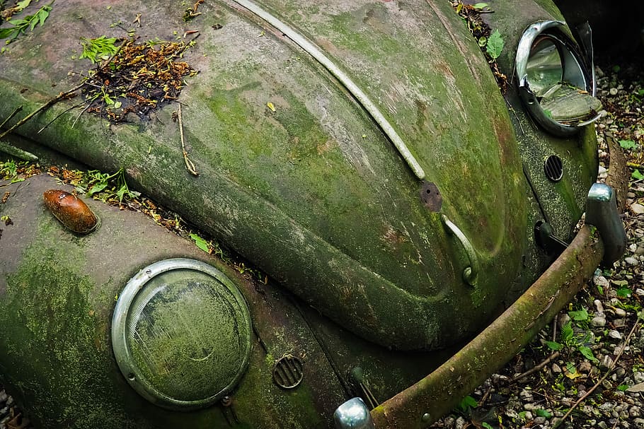 automàtic, cementiri del cotxe, oldtimer, vell, òxid, karre inoxidable, inoxidable, rovellat, nostàlgia, naufragis, ferralla, restes de cotxes, desballestament del cotxe, descartat, història, memòria, acabar, Apagat, decaïment, oblida't, cotxes antics, es va retirar, obsoleta, pkw, vw, vw beetle 1950, Volkswagen, 50's, vehicle, llocs perduts, pforphoto, trencat, humor, lloc perdut, descuidat, color verd, cap gent, vista d’angle alt, dia, menjar i beguda, planta, menjar, naturalesa, abandonat, primer pla, camp, alimentació saludable, terra, metall, contenidor, molsa, a l'aire lliure, 4K