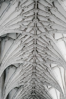 Winchester Kathedrale, Weiß, Beton, Decke, Gebäude, die Architektur, Dom, Flachwinkelansicht, Muster, keine Leute, gebaute Struktur, Vollbild, Design, Tag, Gebäudehülle, architektonisches Merkmal, Geschichte, die Vergangenheit, Holz - Material, Hintergründe, draußen, Kunst und Handwerk, Dach, aufwendig, Architektur und Kunst, Dachbalken, direkt darunter, 4K, CC0, gemeinfrei, lizenzfrei