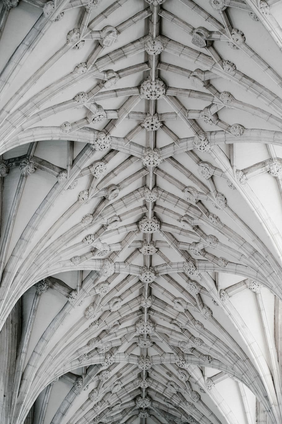 Winchester katedrála, bílý, beton, strop, budova, architektura, katedrála, nízký úhel pohledu, vzor, nikdo, stavba, celý rám, design, den, exteriér budovy, architektonický prvek, Dějiny, minulost, dřevo - materiál, pozadí, venku, umění a řemesla, střecha, vyšperkovaný, architektura a umění, střešní nosník, přímo pod, 4K