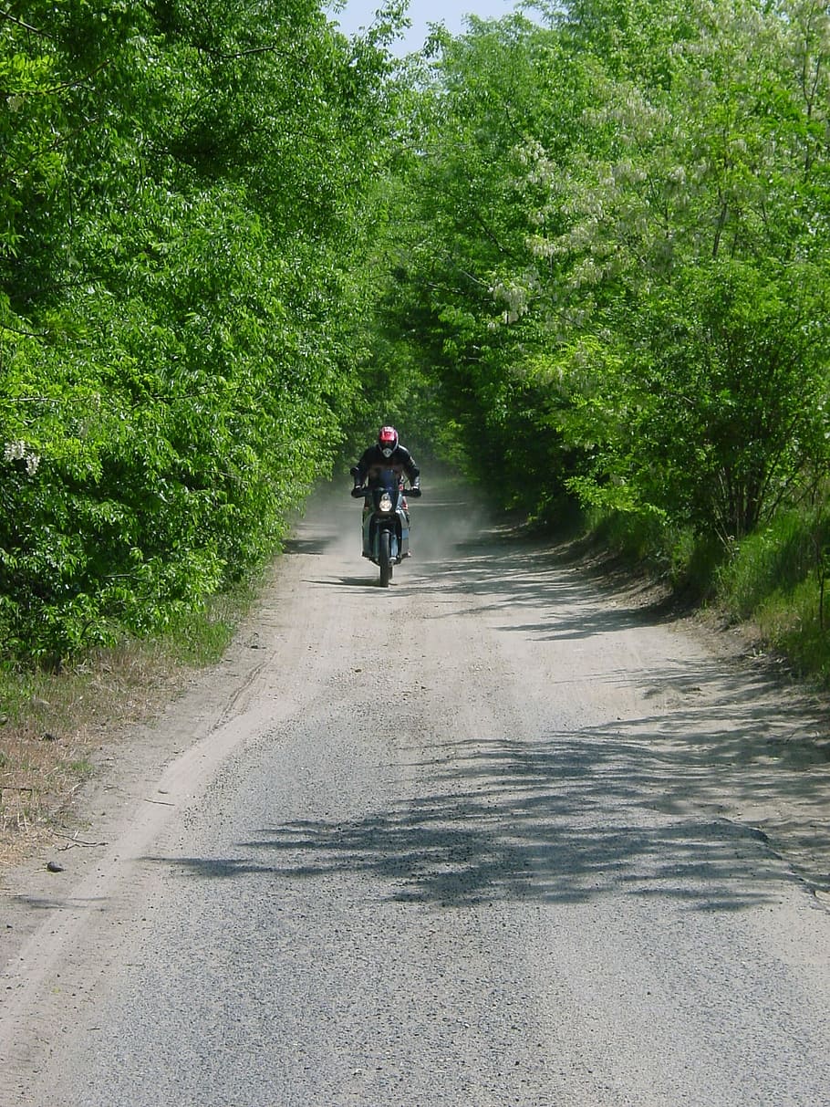 poder, motor, vehicle, bosc, Camí, Carretera bruta, motociclisme, enduro, bellesa, home, ciclistes, velocitat, ktm, bicicleta, ciclisme, carretera, arbre, transport, vista del darrere, planta, manera de transport, vehicle terrestre, el camí a seguir, direcció, naturalesa, color verd, passeig, persones reals, muntar a cavall, creixement, esport, una persona, dia, a l'aire lliure, 1080P