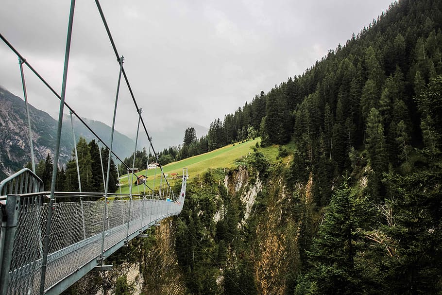 hängebrücke, Österreich ii, buit, passarel·la, líder, bosc, pont, arbres, cable, tanca, camp, herba, muntanya, arbre, cabina, gespa, trekking, verd, arxiu, planta, cel, color verd, transport, naturalesa, dia, núvol - cel, cap gent, creixement, escenics - natura, bellesa a la natura, connexió, escena tranquil·la, estructura construïda, terra, pont - estructura feta per l'home, escena no urbana, a l'aire lliure, 5K