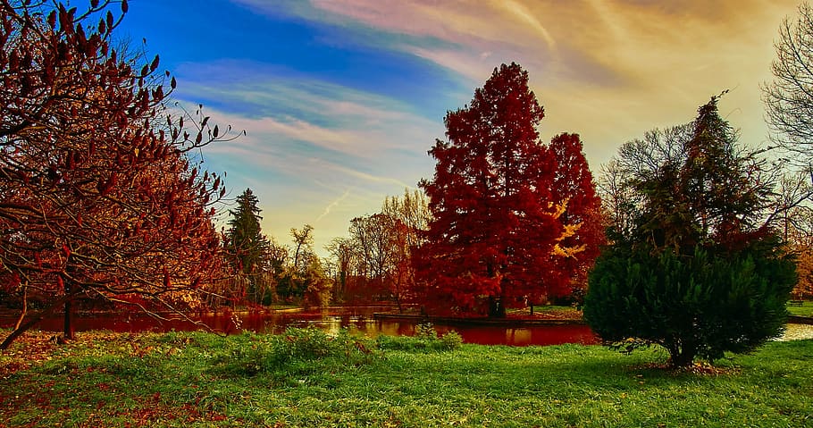 grüne Wiese, Rumänien, Himmel, Wolken, Landschaft, szenisch, Natur, draußen, Wald, Bäume, wunderschönen, Teich, See, Wasser, Land, ländlich, Wiese, hdr, Herbst, fallen, Panorama, Pflanze, Baum, orange Farbe, Schönheit in der Natur, Ruhe, wolke - himmel, Wachstum, Veränderung, ruhige Szene, Gras, keine Leute, Szenen - Natur, Sonnenuntergang, Feld, Nicht-städtische Szene, Herbstkollektion, 1080P