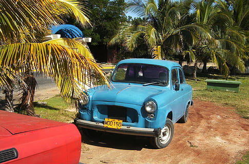 cuba, autos, oldtimer, Palmera, cotxe, clima tropical, a l'aire lliure, vacances, cap gent, Carib, viatjar, estiu, destinacions de viatge, llocs de viatges, blau, cotxe d'època, platja, cultura del Carib, transport, naturalesa, manera de transport, arbre, automòbil, vehicle terrestre, planta, dia, creixement, llum solar, terra, estacionari, carretera, camioneta, fulla de palma, 1080P, CC0, domini públic, lliure de regalies