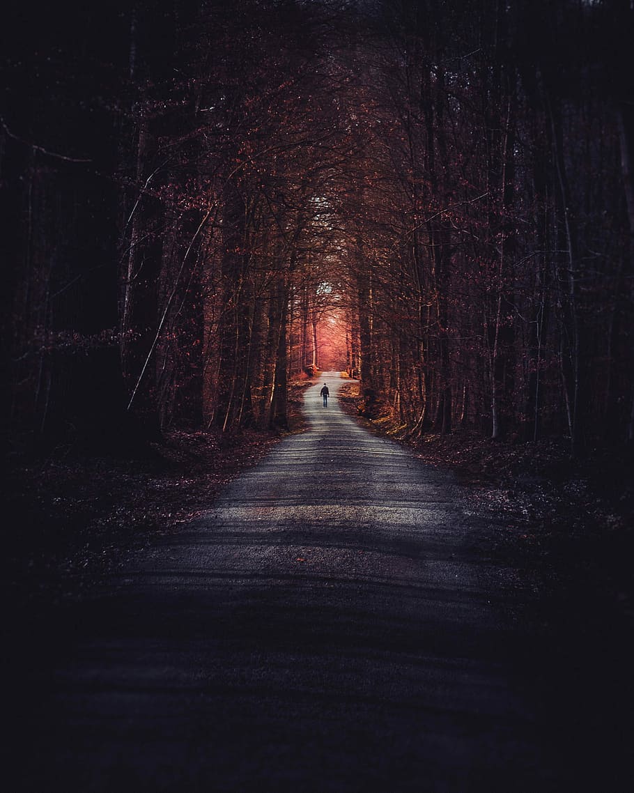 Person, Gehen, Mitte, locke, Wald, Baum, Pfad, Straße, Sonnenlicht, dunkel, Licht, Natur, draußen, Ausflug, Perspektive, fairfilter, launisch, Vorbild, Fahrbahn, Richtung, der Weg nach vorn, Pflanze, Land, Transport, abnehmende Perspektive, Ruhe, keine Leute, Fluchtpunkt, ruhige Szene, Tag, die Architektur, leeren, Szenen - Natur, von Bäumen gesäumt, 1080P