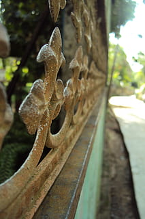 cancello, vecchio cancello, cancello arrugginito, effetto macro, giornata calda, cancello principale, color oro, Sri Lanka, pianta, concentrarsi sulle conoscenze acquisite, nessuno, giorno, avvicinamento, natura, crescita, arrugginito, all'aperto, messa a fuoco selettiva, albero, metallo, legno - materiale, parte vegetale, foglia, confine, ringhiera, recinto, barriera, la tranquillità, 2K, CC0, dominio pubblico, privo di copyright