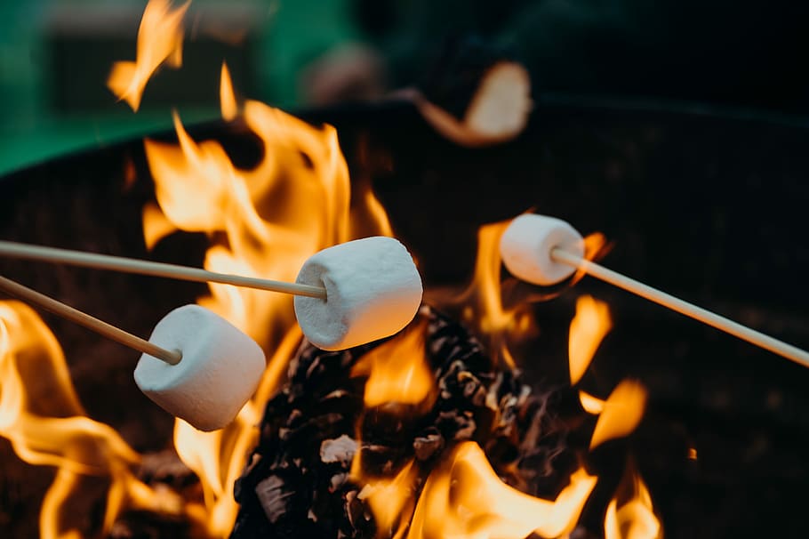selektivní, zaostřovací fotografie, marshmallows, ohniště, člověk grilování mallows, lepit, oheň, plamen, kempování, táborák, hořící, požár - přírodní jev, teplota - teplota, jídlo a pití, jídlo, Příroda, pohyb, kuchyňské nádobí, naběračka, asijské jídlo, detail, zaměřit se na popředí, vybavení domácností, ibišek, čínské jídlo, 4K