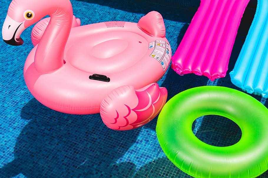 rosa, flamenc inflable, verd, anell inflable, nens, flamenc, boies, inflable, piscina, joguina, rajola, aigua, anell, ombra, plàstic, a l'aire lliure, flotar, equipament, color, color rosa, representació animal, vista d’angle alt, flotant a l'aigua, representació, flotant, tub, multicolor, cap gent, animal, naturalesa, bassa de piscina, 5K