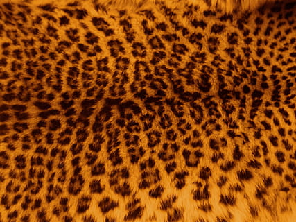 Brun, sort, leopard mønster illustration, leopard, hud, pels, mønster, Print, kat, tekstil, mode, pletter, design, orange, Afrika, safari, struktur, baggrund, tekstureret, kulisse, jungle, dyr, dyre temaer, stor kat, ingen mennesker, dyreliv, pattedyr, et dyr, fik øje på, dyr i naturen, dyr kropsdel, feline, orange farve, dyrehud, tæt på, baggrunde, dyrehår, fuld ramme, gepard, 1080P, CC0, offentligt domæne, royaltyfrie