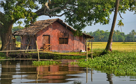 brown, house, lake, tree, shade, river, water, simple, wood, building, riverbank, reflection, india, hut, wooden, built structure, architecture, plant, building exterior, nature, day, no people, tranquility, green color, growth, waterfront, beauty in nature, outdoors, 4K, CC0, public domain, royalty free