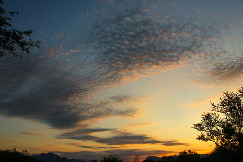 nuvens, ar, Dom, por do sol, África do Sul, natureza, crepúsculo, céu, ao ar livre, nuvem - céu, árvore, beleza na natureza, plantar, tranquilidade, scenics - natureza, cena tranquila, visão de baixo ângulo, ninguém, silhueta, cor laranja, idílico, crescimento, céu dramático, céu romântico, 5K, CC0, domínio público, royalty free