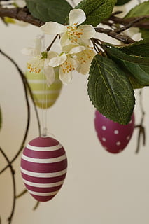 easter greeting, easter branch, branch, easter, happy easter, easter egg, decoration, easter theme, easter bouquet, spring, customs, deco, painted egg, egg, plant, flowering plant, flower, growth, freshness, close-up, beauty in nature, plant part, leaf, fragility, nature, vulnerability, no people, indoors, focus on foreground, petal, flower head, inflorescence, springtime, 5K, CC0, public domain, royalty free