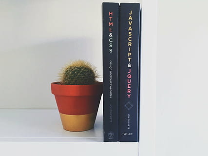 deux, noir, couvert, livre, à côté de, vert, cactus, plante, html, css, javascript, jquery, livres, conception, développement, la programmation, code, codage, apprentissage, éducation, personne, fermer, journée, à l'intérieur, prise de vue en studio, plante en pot, nombre, thermomètre, nature morte, précision, chaleur - température, la nature, table, instrument de mesure, équipement, beauté, coupé, publication, 4K, CC0, domaine public, libre de droits