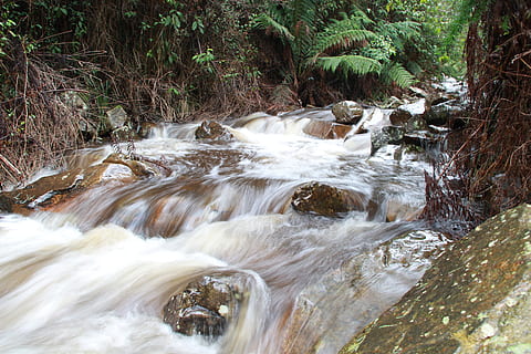 Fluss, sprudelnd, Laufen, Strom, torrent, Bewegung, Wasser, fließendes Wasser, Baum, Schönheit in der Natur, Wald, Szenen - Natur, Bewegungsunschärfe, Rock, Wasserfall, Pflanze, Natur, solide, Land, Rock - Objekt, fließend, Langzeitbelichtung, keine Leute, draußen, Kraft in der Natur, 5K, CC0, gemeinfrei, lizenzfrei