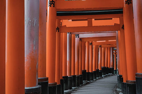 rød, torii gate, dagtimerne, bygning, arkitektur, struktur, orange, konstruktion, arkitektoniske kolonne, bygget struktur, sted for tilbedelse, i en række, orange farve, religion, tro, helligdom, spiritualitet, ingen mennesker, rejsemål, gentagelse, rejse, udendørs, Port, dag, søjlegang, 5K, CC0, offentligt domæne, royaltyfrie