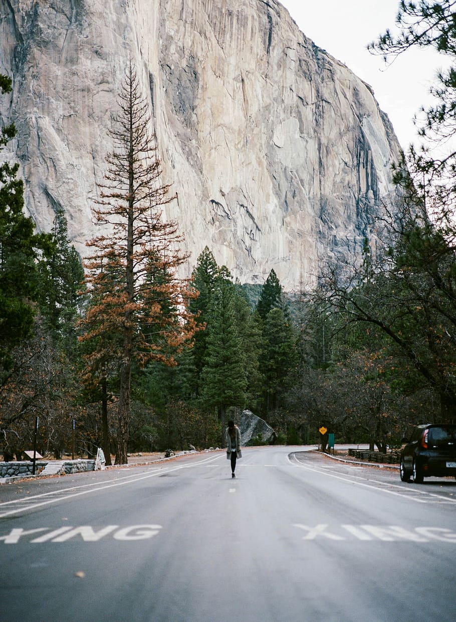 persona, caminar, carretera, arbres, muntanya, distància, mig, cap a, model, vista, pi, arbre, bosc, esquena, viatge, cotxe, viatjar, mamiya, pel·lícula, caure, viatge de carretera, yosemite, planta, transport, persones reals, dia, naturalesa, el camí a seguir, una persona, temperatura de fred, neu, activitat d'oci, longitud completa, direcció, bellesa a la natura, Serra, estils de vida, hivern, formació, a l'aire lliure, 2K