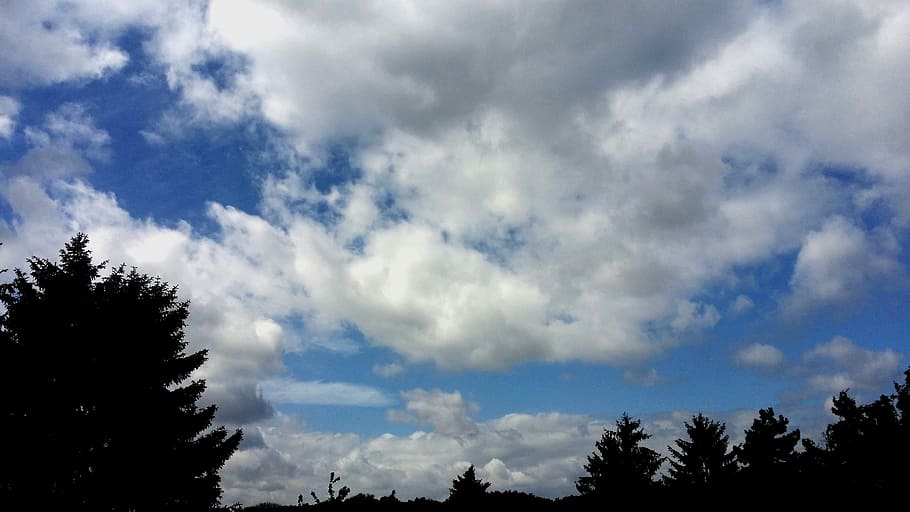 natur, form, mørke skyer, skyer, skyer form, himmel, landskab, træ, sky - himmel, silhuet, scenics, plante, skønhed i naturen, lav vinkel visning, ro, vækst, rolig scene, scenics - natur, ingen mennesker, dag, blå, udendørs, ikke-urbane scene, trætop, cloudscape, nåletræ, meteorologi, 4K