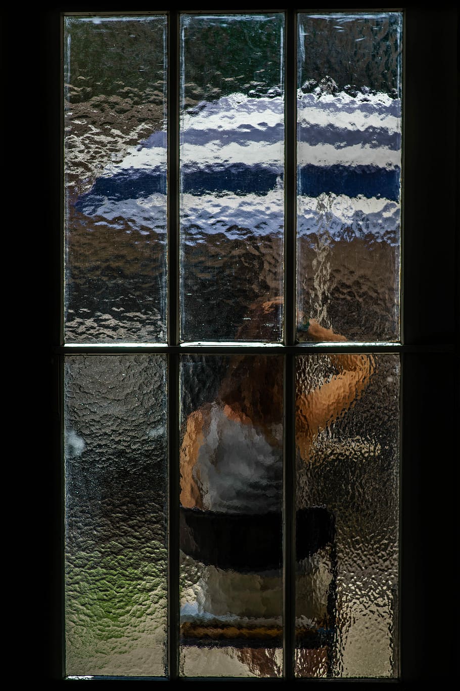 foto, chiaro, finestra di vetro, smerigliato, mostrando, persona, ombrello, finestra, porta, bicchiere, riflessione, giardino, parasole, donna, femmina, sedia, posto a sedere, temi animali, animale, nessuno, natura, metallo, gabbia, giorno, un animale, animali domestici, mammifero, vertebrato, all'aperto, domestico, intrappolati, la neve, architettura, spazio limitato, 5K
