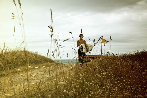 giorni di surf, uomo, portando, bianca, tavola da surf, giorno, erba, traccia, sentiero, surfer, cielo, terra, nuvola - cielo, natura, campo, pianta, animali domestici, domestico, mammifero, animale, scena rurale, paesaggio, all'aperto, temi animali, un animale, ambiente, bestiame, erbivoro, 5K, CC0, dominio pubblico, privo di copyright