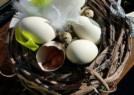 Karte, Osterei, Ostereier, Osterhase, osterkarte, osterkorb, Ostern, Osternest, Ei, Lebensmittel, Essen und Trinken, High Angle View, Frische, Stillleben, gesundes Essen, Zerbrechlichkeit, Wohlbefinden, keine Leute, Verletzlichkeit, Container, Natur, Korb, tierisches Ei, Tiernest, Vogelnest, Gemüse, Rohkost, Nahansicht, draußen, 2K, CC0, gemeinfrei, lizenzfrei