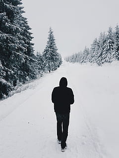 la personne, portant, noir, sweat à capuche, en marchant, neige, couvert, route, pins, seul, du froid, lumière du jour, forêt, zing, gel, congelé, randonnée, pull à capuche, la glace, glacé, paysage, homme, la nature, en plein air, scénique, ciel, neigeux, des arbres, Météo, blanc, hiver, paysage d'hiver, les bois, température froide, arbre, vue arrière, plante, modes de vie, toute la longueur, Vrais gens, couvrant, une personne, beauté dans la nature, Activité de loisir, terre, vêtement chaud, Vêtements, couleur blanche, conditions météorologiques extrêmes, montagne au sommet enneigé, 4K, CC0, domaine public, libre de droits
