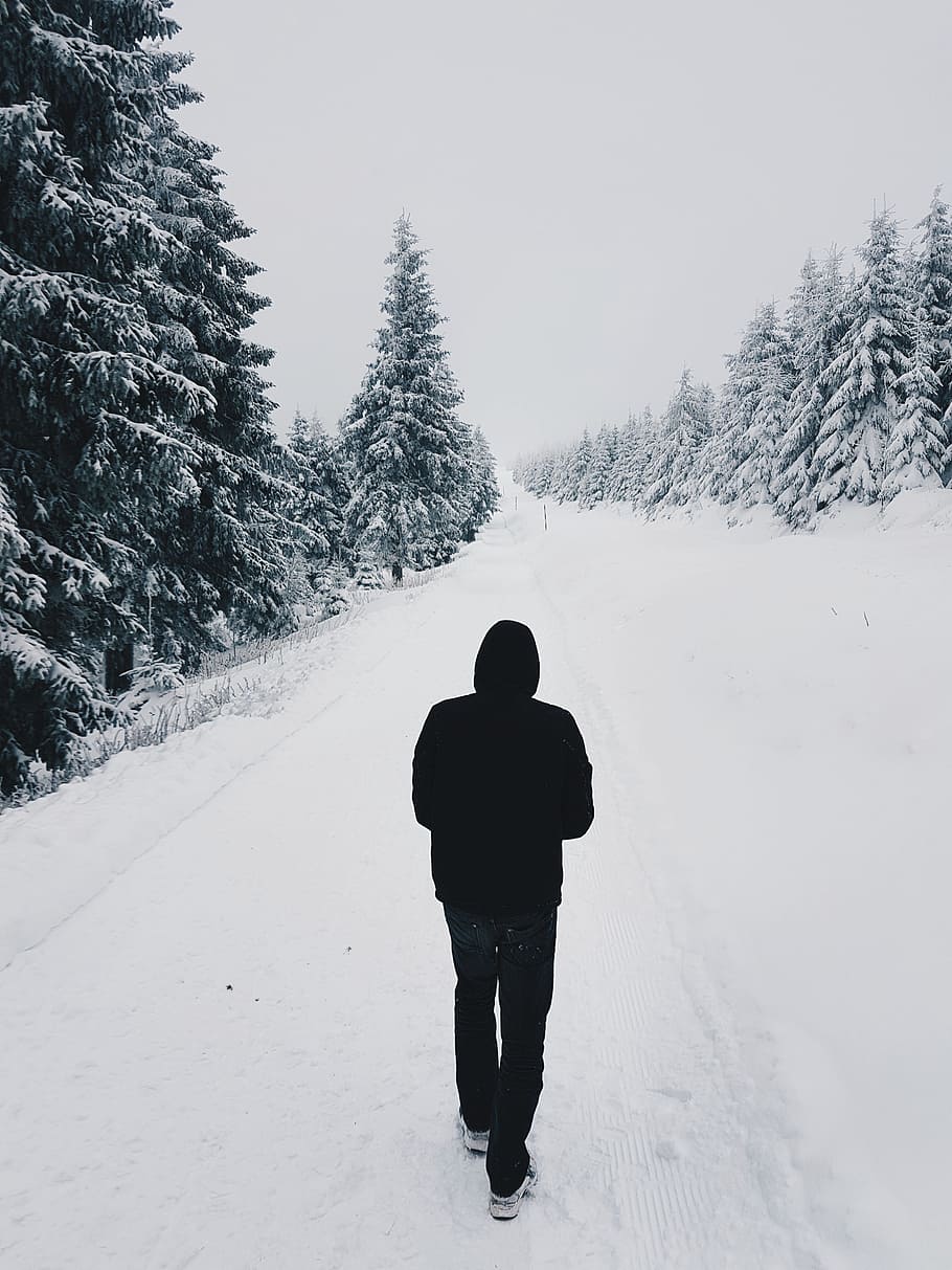 la personne, portant, noir, sweat à capuche, en marchant, neige, couvert, route, pins, seul, du froid, lumière du jour, forêt, zing, gel, congelé, randonnée, pull à capuche, la glace, glacé, paysage, homme, la nature, en plein air, scénique, ciel, neigeux, des arbres, Météo, blanc, hiver, paysage d'hiver, les bois, température froide, arbre, vue arrière, plante, modes de vie, toute la longueur, Vrais gens, couvrant, une personne, beauté dans la nature, Activité de loisir, terre, vêtement chaud, Vêtements, couleur blanche, conditions météorologiques extrêmes, montagne au sommet enneigé, 4K