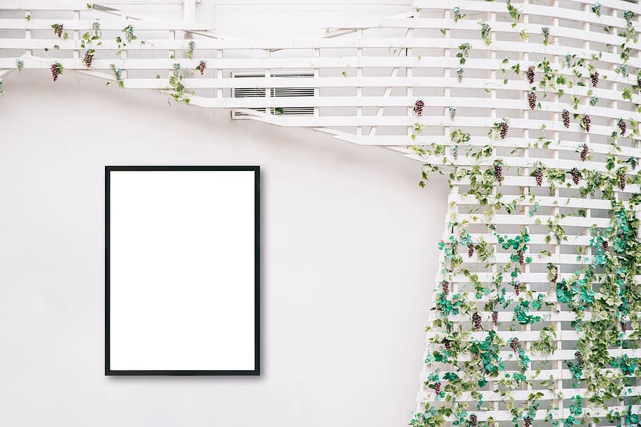 fusta, paret, disseny, creativitat, fons, decoració, marc, interior, disseny d'interiors, en blanc, Color blanc, còpia espai, arquitectura, a l'interior, funció de construcció de parets, cap gent, tecnologia, planta, estructura construïda, taula, comunicació, dia, interior de casa, naturalesa, 5K