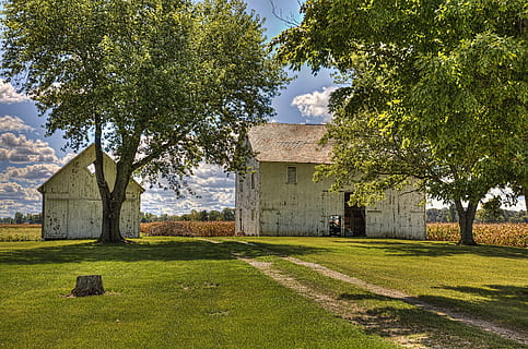 fienile, rustico, fienili, intemperie, Ohio, arte digitale, rurale, panoramico, nazione, campagna, scenario, capannone, capannoni, azienda agricola, aziende agricole, agricoltura, agricolo, agriturismo, champagne, contea, americana, foto, fotografia, struttura, strutture, Sturgell, William Sturgell, Bill Sturgell, storico, Home decor, edifici, nuvole, cielo, albero, alberi, nuvoloso, cieli, erbacce, contea di champagne, urbana, pianta, architettura, esterno dell'edificio, struttura costruita, natura, costruzione, erba, nessuno, Casa, campo, colore verde, paesaggio, terra, storia, quartiere residenziale, crescita, il passato, giorno, all'aperto, 5K, CC0, dominio pubblico, privo di copyright