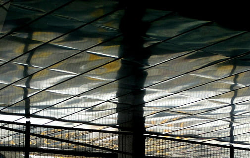 sostre, brillant, panells, rectangular, reflectint, llum, pilars, fluid, arquitectura, finestra, vidre - material, estructura construïda, a l'interior, patró, metall, edifici, cap gent, seguretat, escala, barana, càstig, vista d’angle baix, presó, dia, protecció, il·luminat, primer pla, 1080P, CC0, domini públic, lliure de regalies