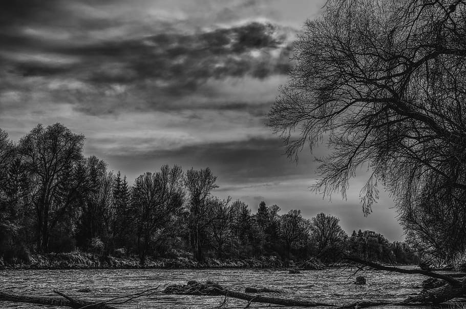 Graustufenfoto, Karosserie, Wasser, dramatisch, Fluss, Natur, Stimmung, Schwarz-Weiss, Bank, Landschaft, fließend, Bach, fließendes Wasser, Bewegung, natürlicher Strom, fließen, Steine, Wald, Flusslandschaft, idyllisch, Bäume, Baumstämme, wilde Natur, Baum, wolke - himmel, draußen, keine Leute, Himmel, szenen, Ruhe, Tag, Pflanze, Schönheit in der Natur, ruhige Szene, Szenen - Natur, Wachstum, Land, bedeckt, Nicht-städtische Szene, Umgebung, kahler Baum, 5K