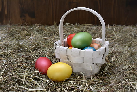 Weiß, Weidenkorb, Ostereier, Osternest, Ostern, Ei, Dekoration, Osterdekoration, Frohe Ostern, bunt, bunte Eier, Farbe, Osterdekorationen, gemalt, Brauch, Heu, Korb, Osterei, osterkorb, Ostergrüße, Osterfeier, Gras, Kulturen, Essen und Trinken, Apfel - Frucht, Feier, draußen, mehrfarbig, Lebensmittel, Container, Urlaub, keine Leute, Stillleben, Natur, Frische, Pflanze, Tag, gesundes Essen, 5K, CC0, gemeinfrei, lizenzfrei
