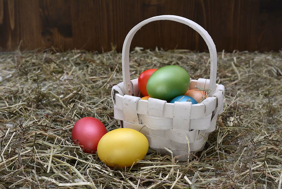 blanc, cistella de vímet, ous de Pasqua, niu de Pasqua, Pasqua, ou, decoració, decoració de pasqua, Feliç Pasqua, colorit, ous de colors, color, decoracions de pasqua, pintat, personalitzat, fenc, cistella, ou de Pasqua, osterkorb, salutacions de pasqua, celebració de Pasqua, herba, cultures, menjar i beguda, fruita de poma, celebració, a l'aire lliure, multicolor, menjar, contenidor, festa, cap gent, natura morta, naturalesa, frescor, planta, dia, alimentació saludable, 5K