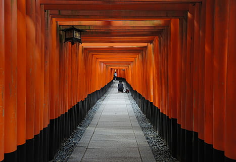 Person, Sitzung, Innerhalb, rot, schwarz, gemalt, Flur, Torii Gates, Gang, Pfad, Spur, Pflaster, Orange, Wand, Tunnel, Licht, Lampe, Kies, Steine, Heiligtum, Fushimi Inari, Fotograf, Buddhismus, der Weg nach vorn, die Architektur, Richtung, gebaute Struktur, abnehmende Perspektive, Spiritualität, orange Farbe, Religion, Schrein, Anbetungsstätte, Glauben, Reise, in einer Reihe, Reiseziele, Gebäude, Tourismus, architektonische Säule, 2K, CC0, gemeinfrei, lizenzfrei
