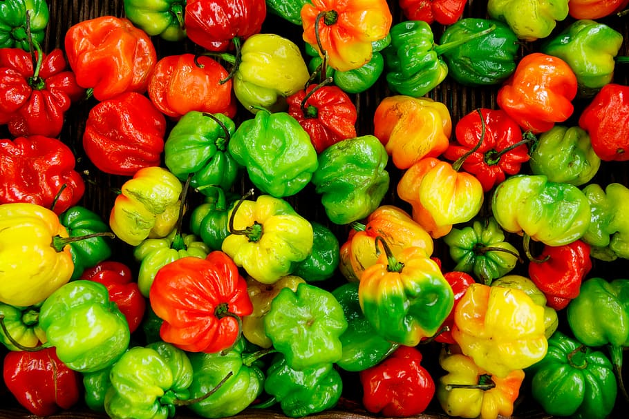 munt, pebrots, fruita de colors variats, vegetals, color, pis pla, flatlay, pappers, menjar i beguda, menjar, marc complet, pebre, fons, alimentació saludable, gran grup d'objectes, frescor, pebrot, vermell, elecció, cap gent, color verd, variació, benestar, mercat, abundància, a la venda, aliments crus, pebre vermell, 4K