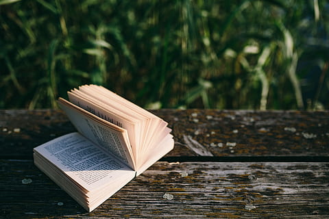 lake, Reading book, summer, book, opened notebook, time, old pier, evening, magic hour, wooden pier, wooden boards, pier, education, literature, learning, wood - Material, wisdom, page, reading, old, backgrounds, no people, day, outdoors, close-up, nature, publication, open, paper, focus on foreground, table, still life, plant, selective focus, tranquility, sunlight, 5K, CC0, public domain, royalty free