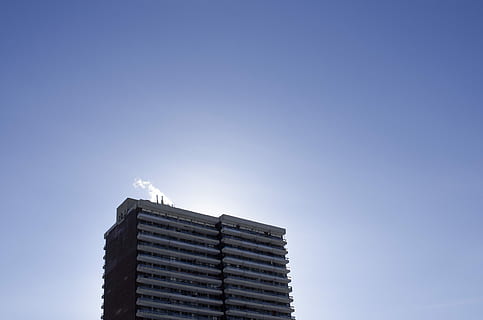 cuc, foto de vista d'ulls, de gran alçada, edifici, foto, blau, clar, cel, gratacels, ciutat, cel clar, cel blau, edifici alt, nocloud, res, fosc, construcció, paisatge urbà, 3d, financers, exterior de l'edifici, arquitectura, estructura construïda, còpia espai, cap gent, indústria, naturalesa, animal, temes d'animals, dia, vista d’angle baix, exterior d’edifici d’oficines, ocell, a l'aire lliure, vertebrats, apartament, 4K, CC0, domini públic, lliure de regalies