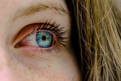 iris, ull, mira, ull humà, part del cos humà, part del cos, primer pla, vista, una persona, pestanya, percepció sensorial, rostre humà, globus ocular, adult, primer pla extrem, iris - ull, enfocament selectiu, cella, persones reals, adult jove, dones, parpella, dona guapa, adolescent, 4K, CC0, domini públic, lliure de regalies