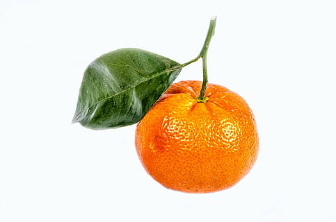 fruta laranja, tangerina, verde, branco, folha, fechar-se, isolado, maduro, folhagem, ninguém, tropical, sobremesa, doce, descasca, dieta, orgânico, amarelo, laranja, cheio, Cortar fora, cítrico, macro, haste, saudável, Vitamina, fruta, fundo, fresco, nutrição, citrino, frescura, Comida, mandarina, cor laranja, comida e bebida, Alimentação saudável, parte da planta, tiro do estúdio, bem-estar, fundo branco, dentro de casa, único objeto, vitamina C, fazer dieta, 1080P, CC0, domínio público, royalty free