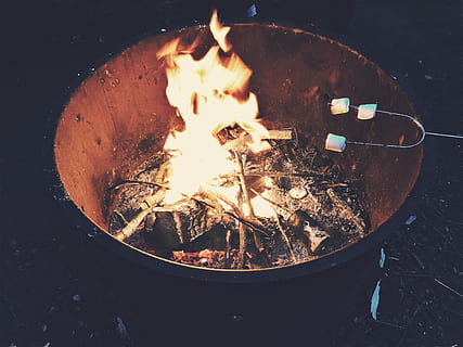 osoba grilování marshmallow, oheň, ohniště, hořící, plamen, ibišek, opékání, grilování, s'mores, protokoly, popel, diletantský pic, smore, kempování, venkovní, teplota - teplota, požár - přírodní jev, nikdo, Příroda, řeřavý, vysoký úhel pohledu, dřevo, událost, krb, detail, palivové dříví, svítí, log, venku, oranžová barva, táborák, 4K, CC0, veřejná doména, bez autorských práv