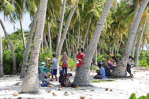 paisaje, naturaleza, playa, gente, niños, cocos, grupo, isla, motocicleta, al aire libre, palmeras, arena, costa, arboles, tropical, árbol, planta, gente real, actividad de ocio, estilos de vida, grupo de personas, crecimiento, día, el maletero, longitud total, palmera, tronco de arbol, hombres, mujer, ropa casual, tierra, sentado, clima tropical, 2K, CC0, dominio público, libre de derechos