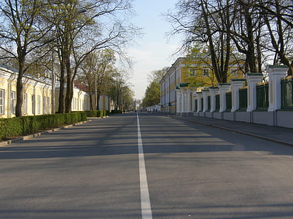 printemps, arbre, vert, parc, palais, ciel, Piste, plante, la voie à suivre, route, direction, journée, architecture, marquage routier, signe, symbole, marquage, la nature, extérieur du bâtiment, structure construite, personne, ville, perspective décroissante, transport, rue, lumière du soleil, en plein air, bordé d'arbres, à la surface, longue, colonne architecturale, ligne de séparation, 2K, CC0, domaine public, libre de droits