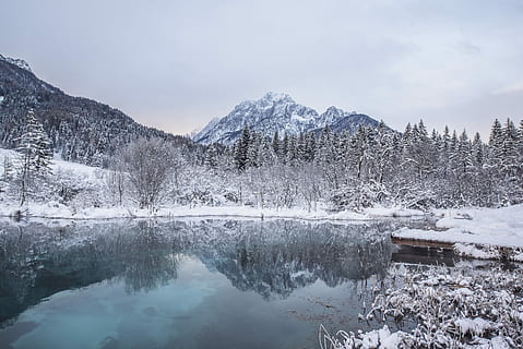 arboles, montañas, cubierto, nieve, junto a, cuerpo, agua, gris, cielo, crepúsculo, cuerpo de agua, azul, frío, bosque, hielo, lagos, paisajes, pinos, blanco, invierno, naturaleza, montaña, paisaje, scenics, árbol, al aire libre, cordillera, temperatura fría, belleza en la naturaleza, lago, nadie, escena tranquila, reflexión, paisajes - naturaleza, tranquilidad, planta, nube - cielo, día, Montaña cubierta de nieve, Pino, árbol conífero, bosque de pinos, 4K