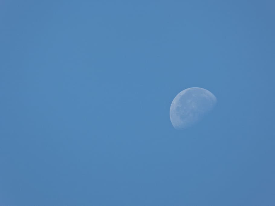 lluna, cel, Mitja lluna, blau, lunar, celestial, espai, astronomia, nit, cel clar, còpia espai, tranquil·litat, cap gent, vista d’angle baix, bellesa a la natura, naturalesa, escena tranquil·la, escenics - natura, a l'aire lliure, astrologia, Lluna planetària, descobriment, fons blau, espai i astronomia, 4K