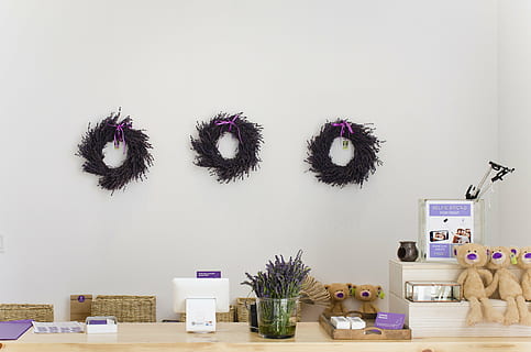 beer, pluche, speelgoed, vaas, drie, Purper, vacht, kransen, muur, tafel, OTYS, krans, bloemen, ring, cirkel, wit, spul, speelgoed-, tonen, interieur, ontwerp, bloem, binnenshuis, geen mensen, kinderjaren, dag, boom, bureau organizer, fabriek, muur - bouwfunctie, meubilair, plant in bloempot, arrangement, natuur, bloeiende plant, huiskamer, boek, huis, decoratie, plank, publicatie, dier, luxe, elektrische lamp, 4K, CC0, publiek domein, royaltyvrij