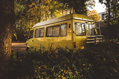 gul, skåpbil, träd, selektiv, fokus fotografering, omgiven, campingbil, husbil, fordon, utomhus, transport, landfordon, bil, gammal, transportsätt, gammaldags, kollektivtrafik, växt, natur, tillväxt, inget folk, dag, landa, övergiven, linbana, föråldrad, fält, arkitektur, skog, skadad, Skolbuss, 4K, CC0, offentligt domän, royaltyfria