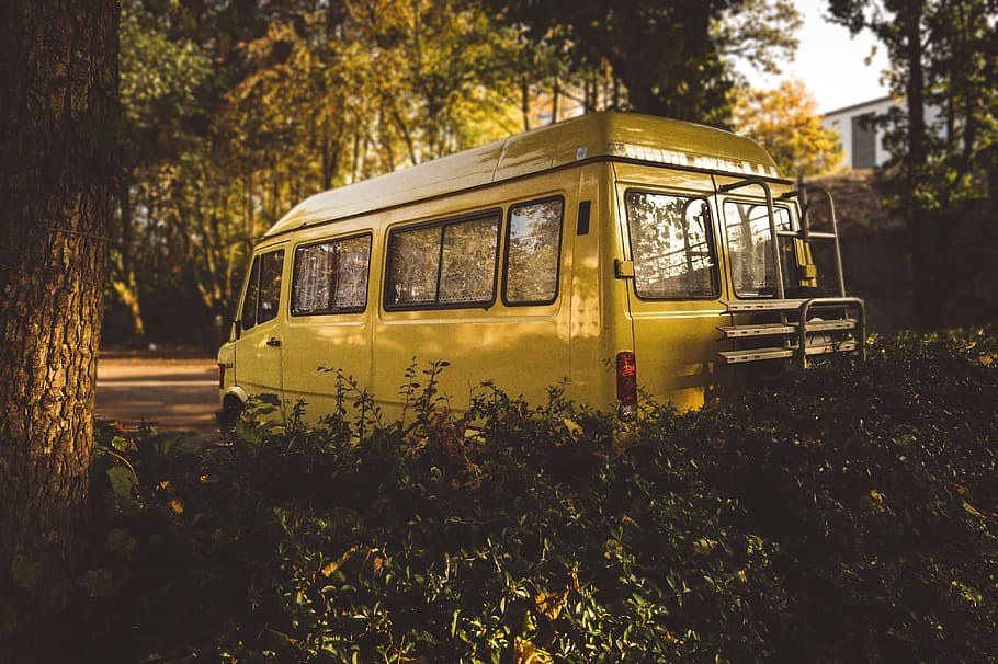 gul, van, træ, selektiv, fokus fotografering, omgivet, træer, campingvogn, køretøj, udendørs, transportmidler, land køretøj, bil, gammel, transportform, gammeldags, offentlig transport, plante, natur, vækst, ingen mennesker, dag, jord, forladt, svævebane, forældet, Mark, arkitektur, Skov, beskadiget, skolebus, 4K