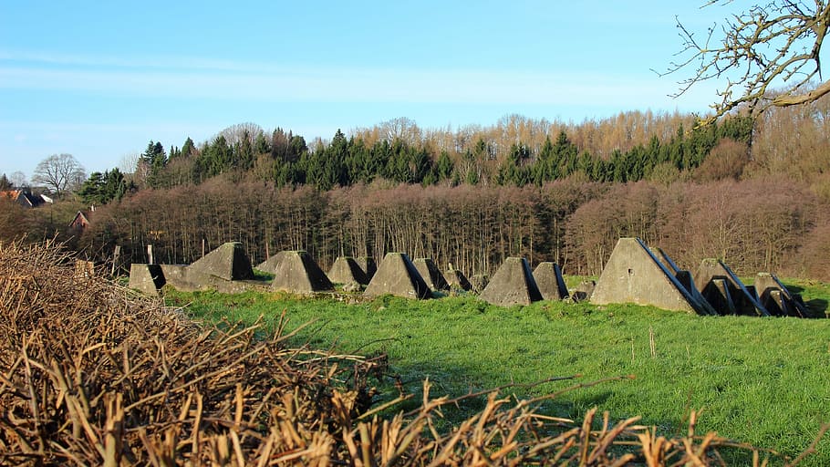 rustning, låse, grænse, beton, væg, rustningslås, vestmur, krig, forsvar, historie, Verdenskrig, Mark, træ, landbrug, landskab, landlige scene, ingen mennesker, plante, himmel, natur, jord, dag, rolig scene, ro, miljø, græs, skønhed i naturen, vækst, scenics - natur, ikke-urbane scene, udendørs, grøn farve, sollys, 4K