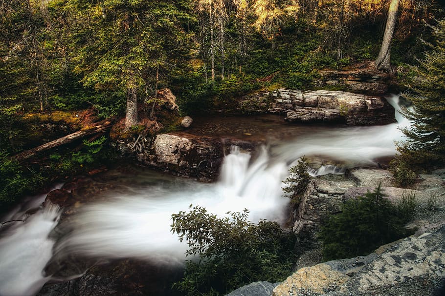 fotografia de lapse de temps, cascada, jungla, cascades, bosc, durant el dia, aigua, arbre, pi, exposició llarga, moviment, naturalesa, rock, a l'aire lliure, parc nacional de glaceres, ràpida, escorça, de fulla perenne, muntanya, glacera, escorrentia, escenics - natura, bellesa a la natura, aigua que flueix, moviment borrós, planta, rock - object, sòlid, terra, escena no urbana, que flueix, medi ambient, cap gent, poder a la natura, caient aigua, selva tropical, rierol: aigua que flueix, puresa, 5K